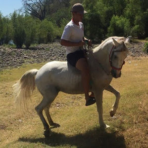 Meet your Posher, Xavier